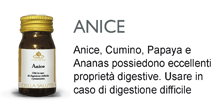Anice