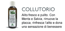 Collutorio