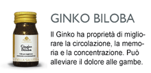 Ginko Biloba