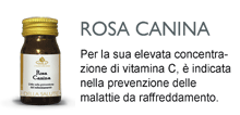 Rosa Canina