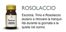 Rosolaccio